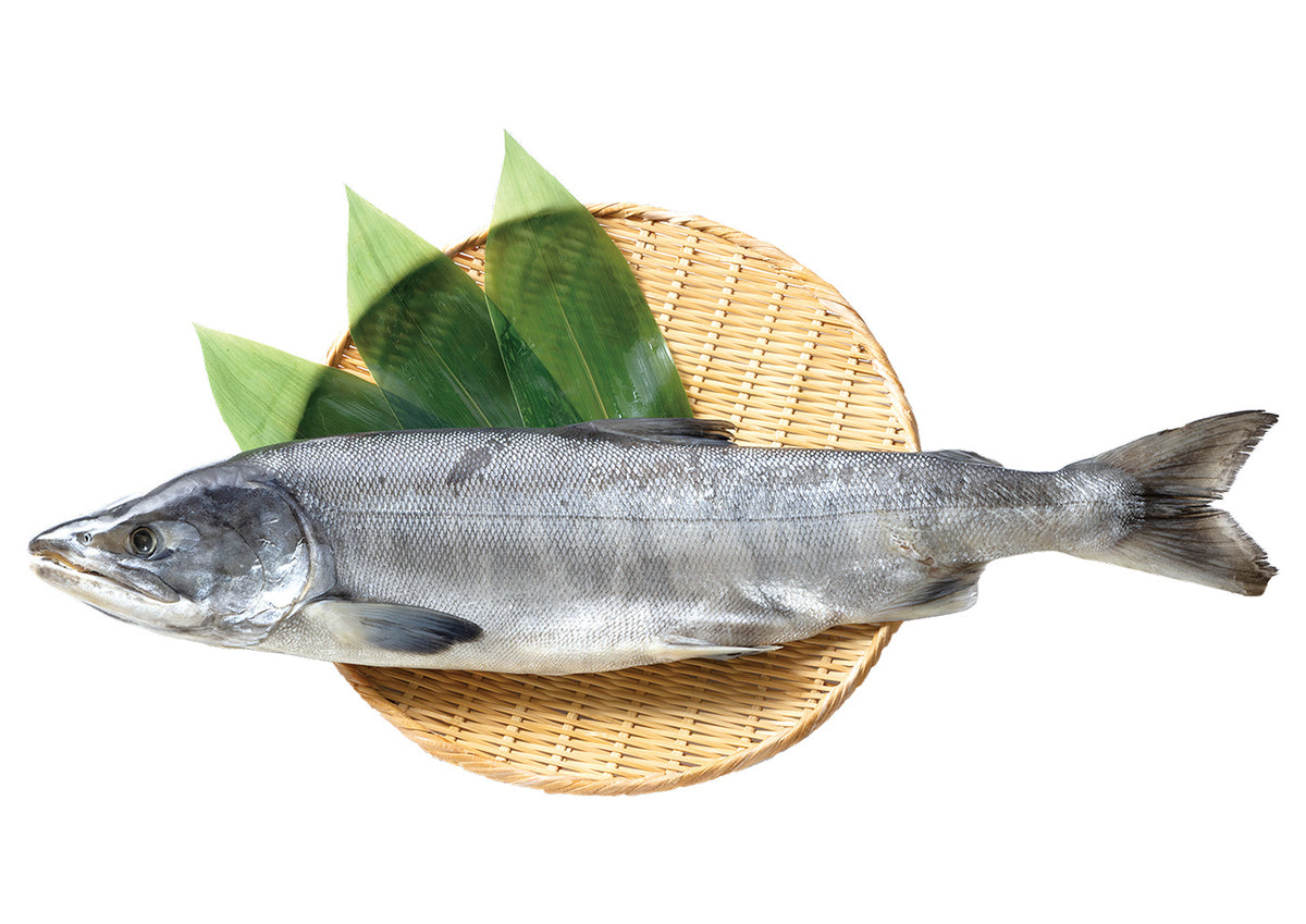 北海道産　新巻鮭（1尾真空）【冷凍】
