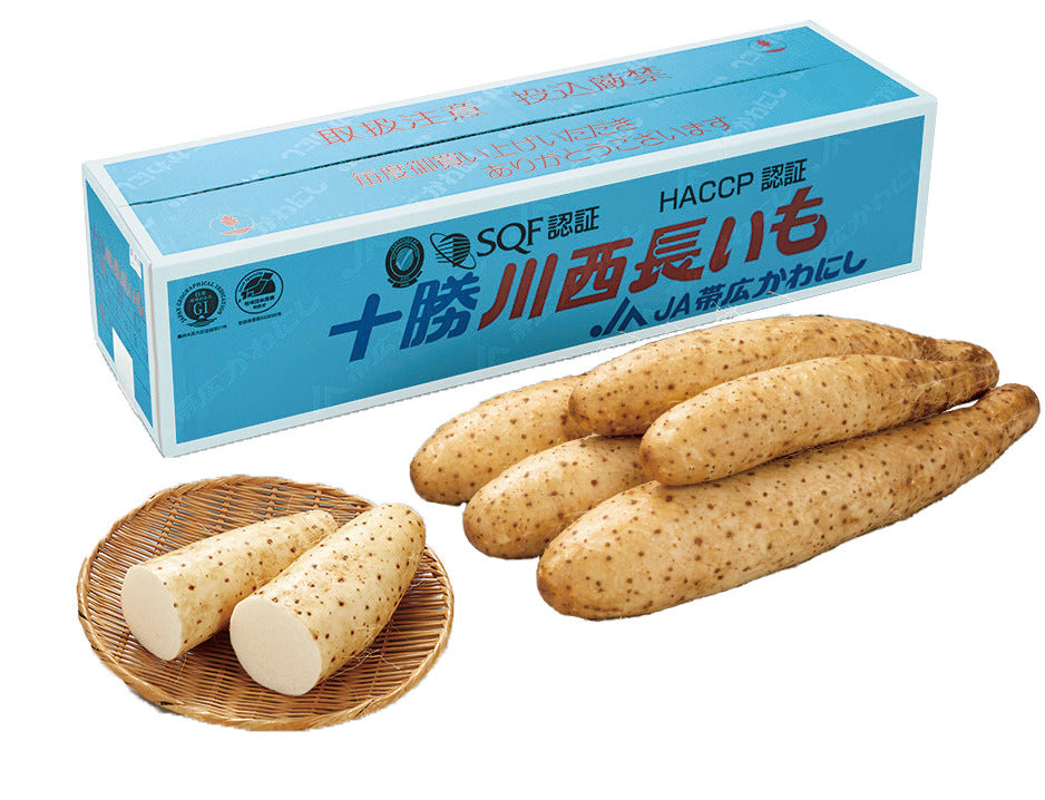 十勝川西長いも5㎏【冷蔵】