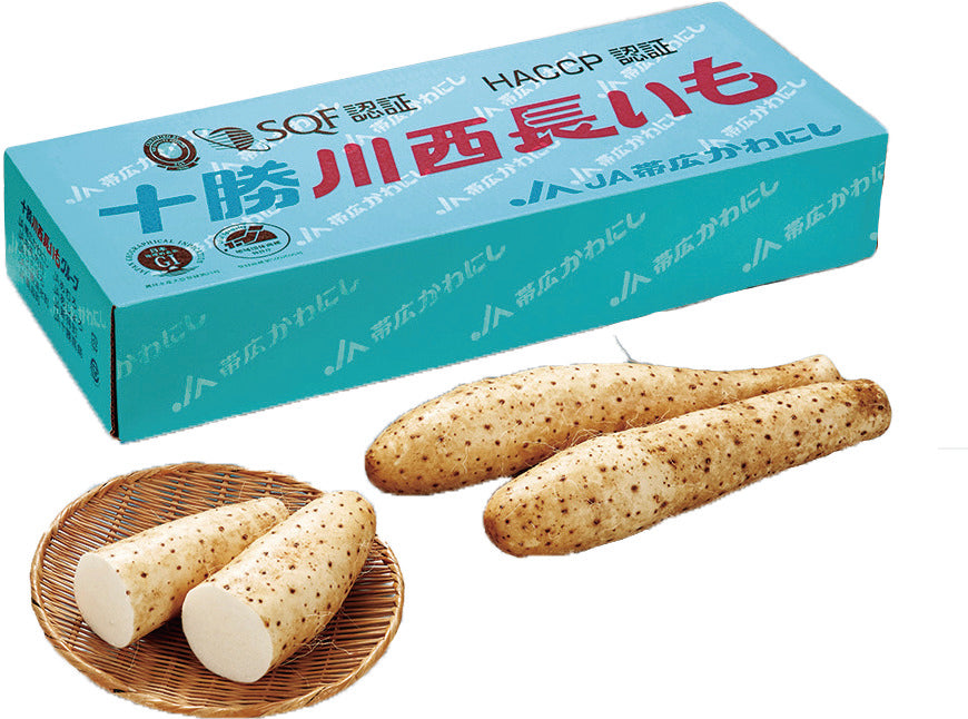 十勝川西長いも2.5㎏【冷蔵】